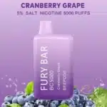 FURY BAR BC5000 Disposable Vape - Image 4