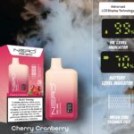 Nerd Fire 8000 Puffs Disposable Vape 2% Nicotine - Image 12