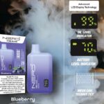 Nerd Fire 8000 Puffs Disposable Vape 2% Nicotine