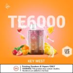 ELFBAR TE6000 (US Version) Disposable Vape 50mg/5% Nicotine