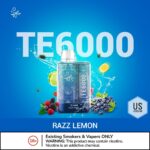 ELFBAR TE6000 (US Version) Disposable Vape 50mg/5% Nicotine