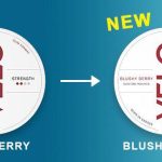 VELO Nicotine Pouches