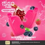 ISGO Paris 14000 Puffs Disposable Vape In Dubai - Image 5