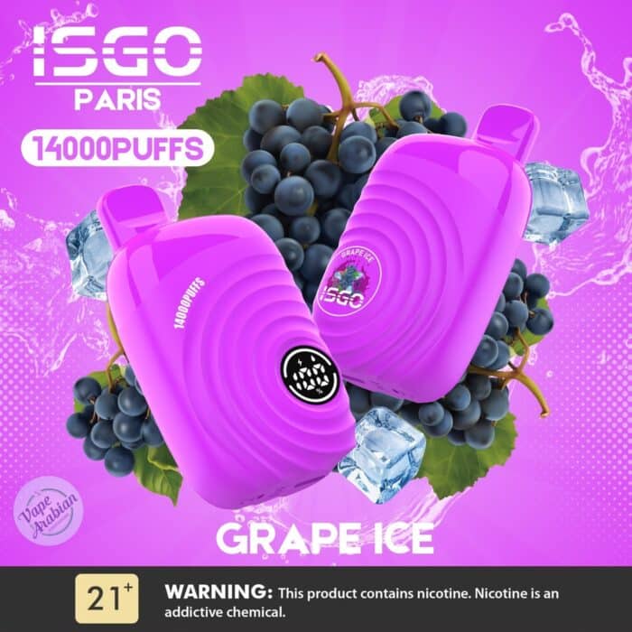 ISGO Paris 14000 Puffs Disposable Vape In Dubai - Image 4