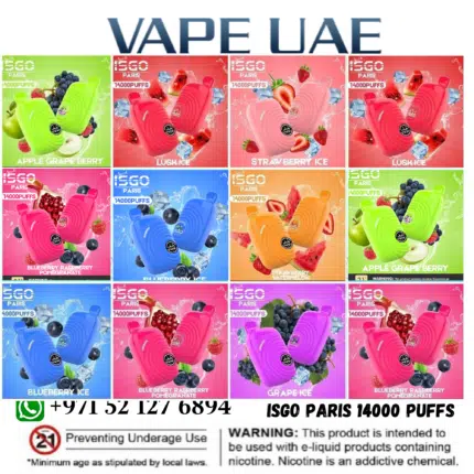 ISGO Paris 14000 Puffs Disposable Vape In Dubai