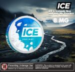 ICE Nicotine Pouches - Image 4