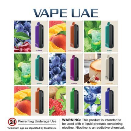 Fummo Indic Disposable 12000 Puffs