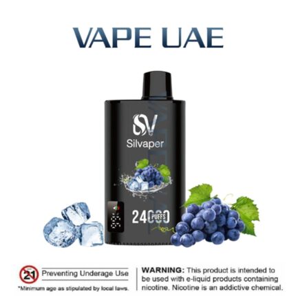 Silvaper 24000 Puffs Disposable Vape In UAE