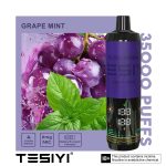 Tesyi Ultra Shisha 35000 Puffs Disposable Vape In UAE