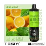 Tesyi Ultra Shisha 35000 Puffs Disposable Vape In UAE