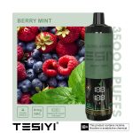 Tesyi Ultra Shisha 35000 Puffs Disposable Vape In UAE