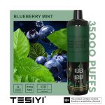 Tesyi Ultra Shisha 35000 Puffs Disposable Vape In UAE