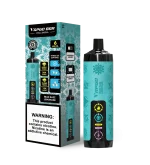 Vapgo Bar Chill Shisha 30000