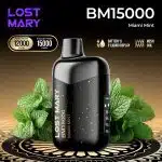 Lost Mary BM15000 Puffs 50mg Disposable Vape in UAE